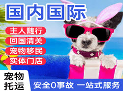 云冈机场货运国际宠物托运 【国